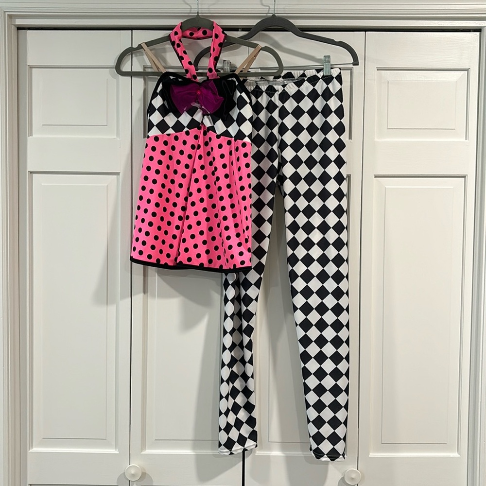 Clown or Court Jester Halloween Costume